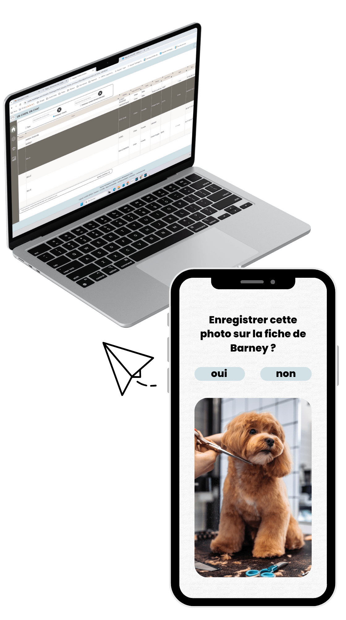 Fichier des clients et des animaux - Easybel Toilettage